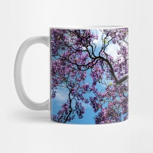 Jacaranda Mug